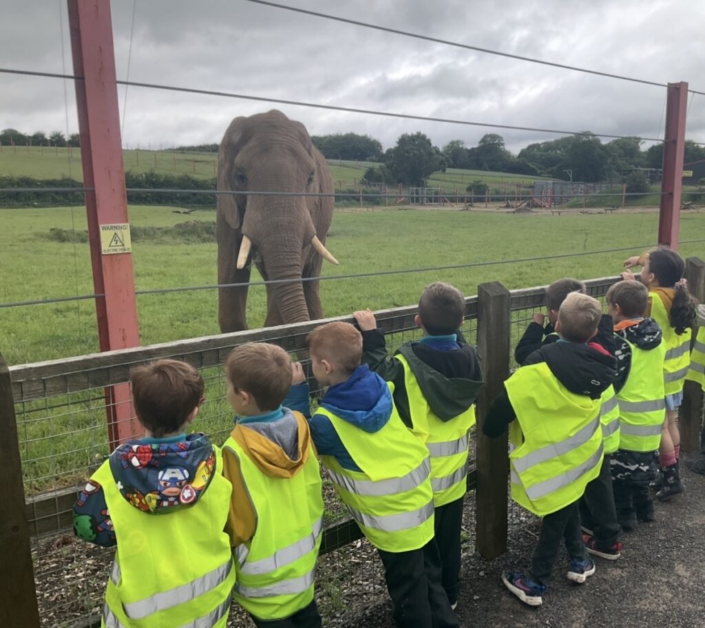 Pupils enjoy wild adventure